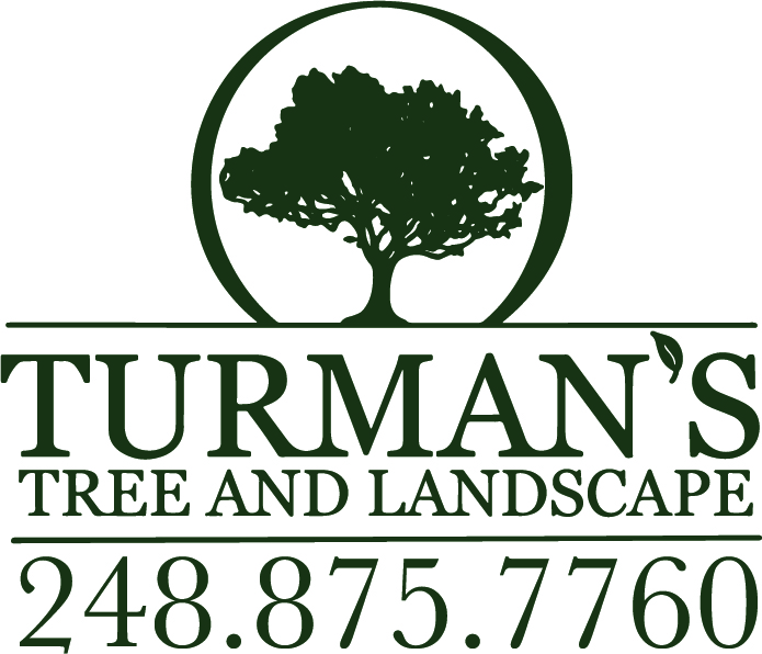 Sponsor Logo 3